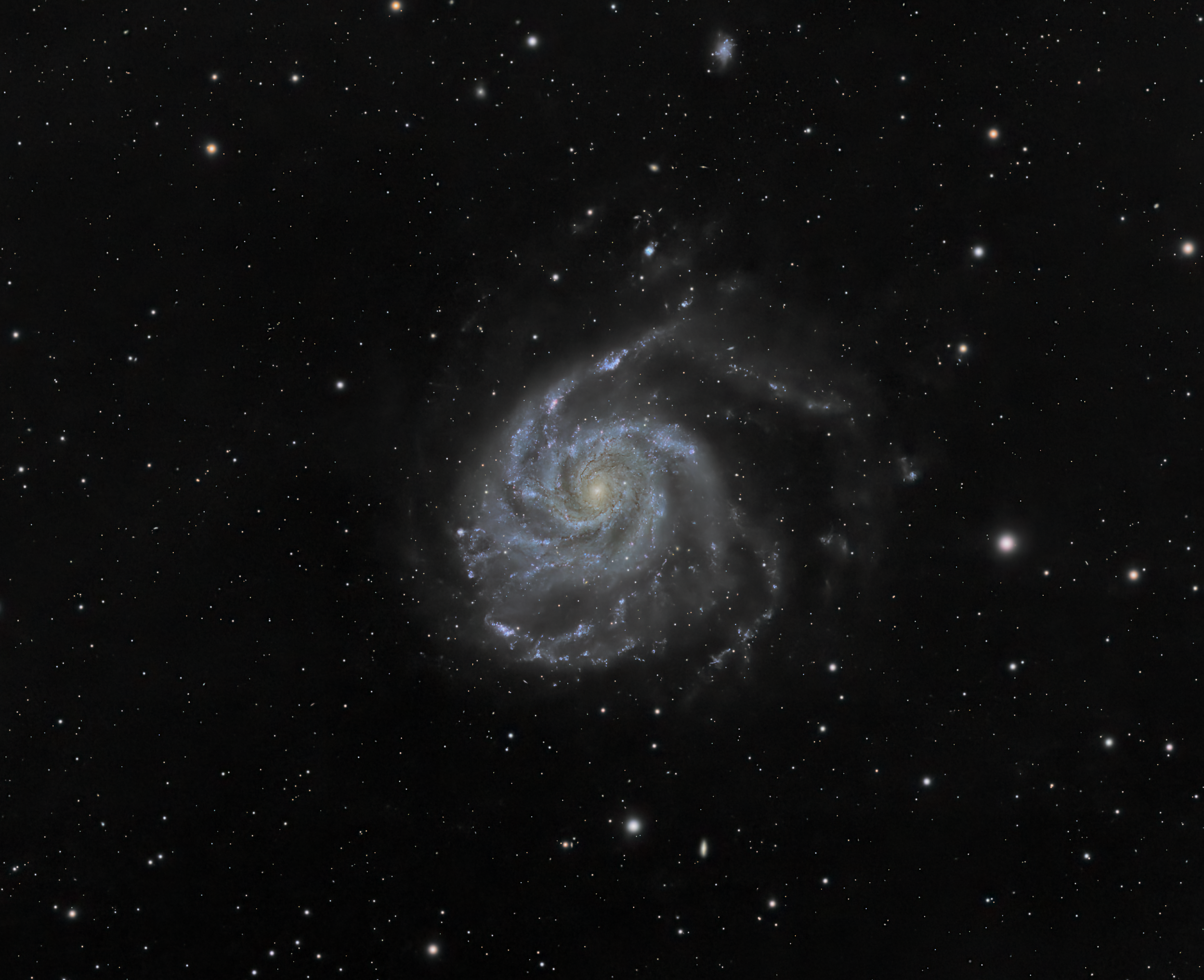 M 101
