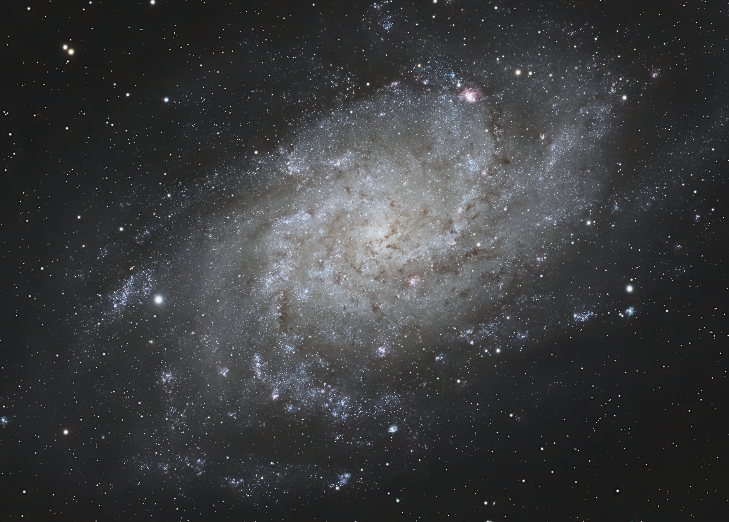 M33