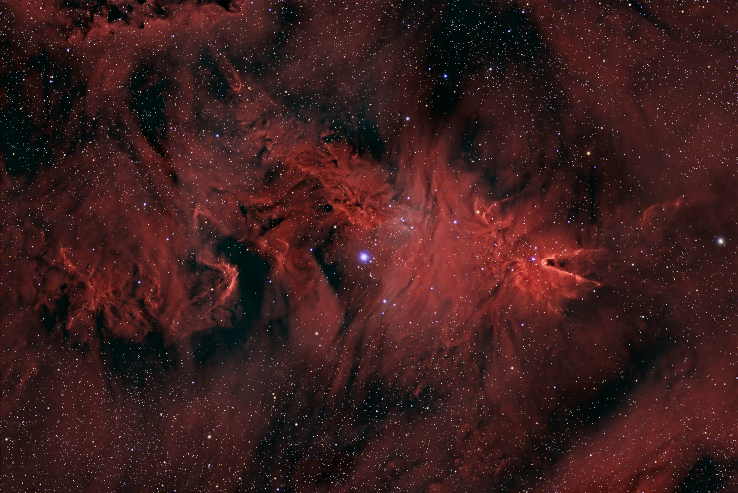 NGC 2264