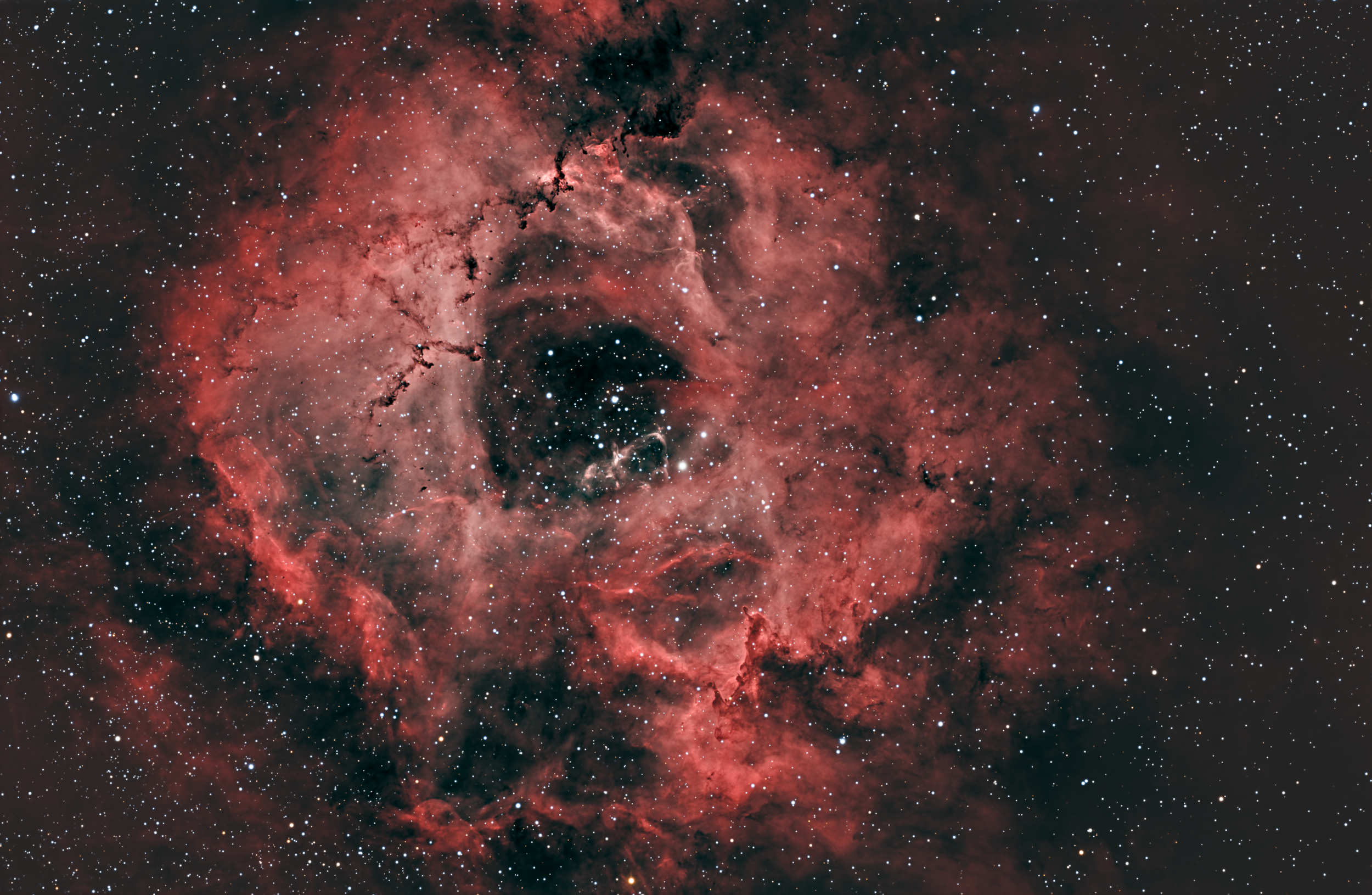 NGC 2244