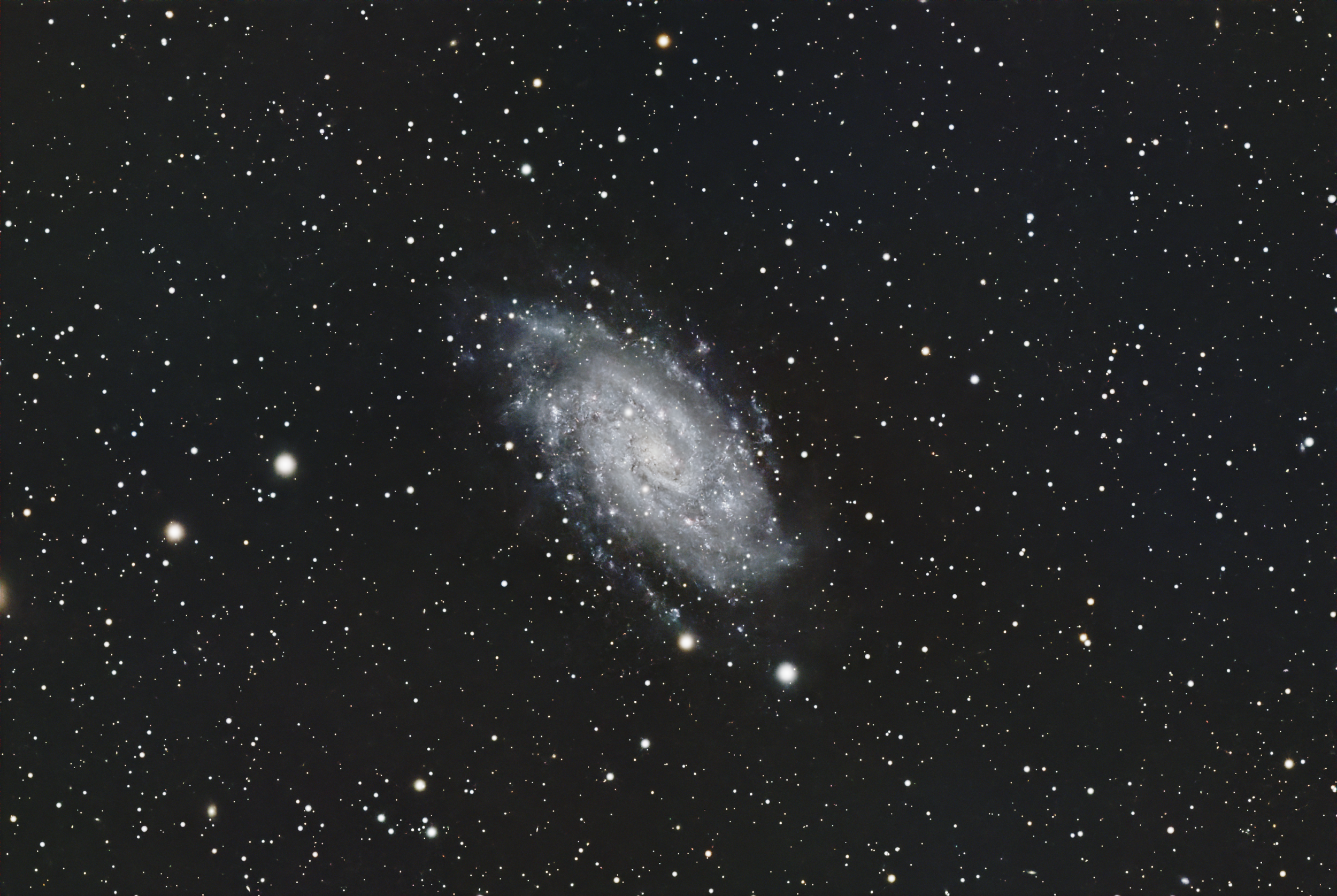 NGC 2403