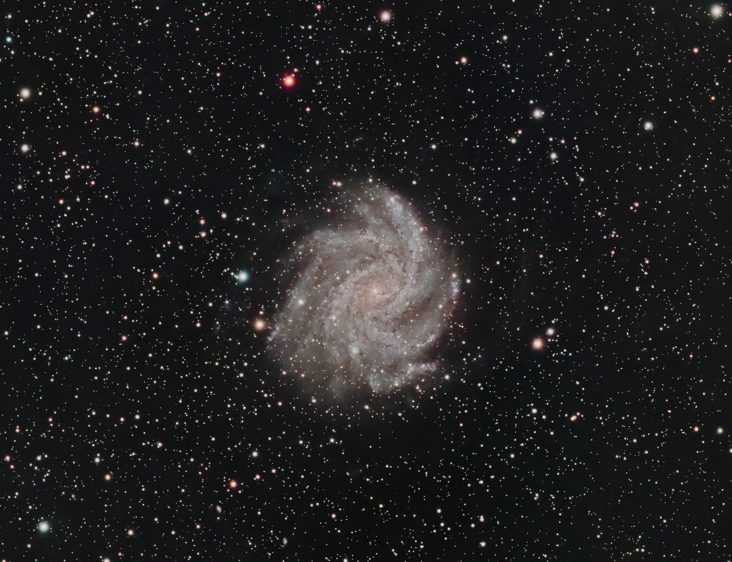 NGC 6946 – Fireworks Galaxy