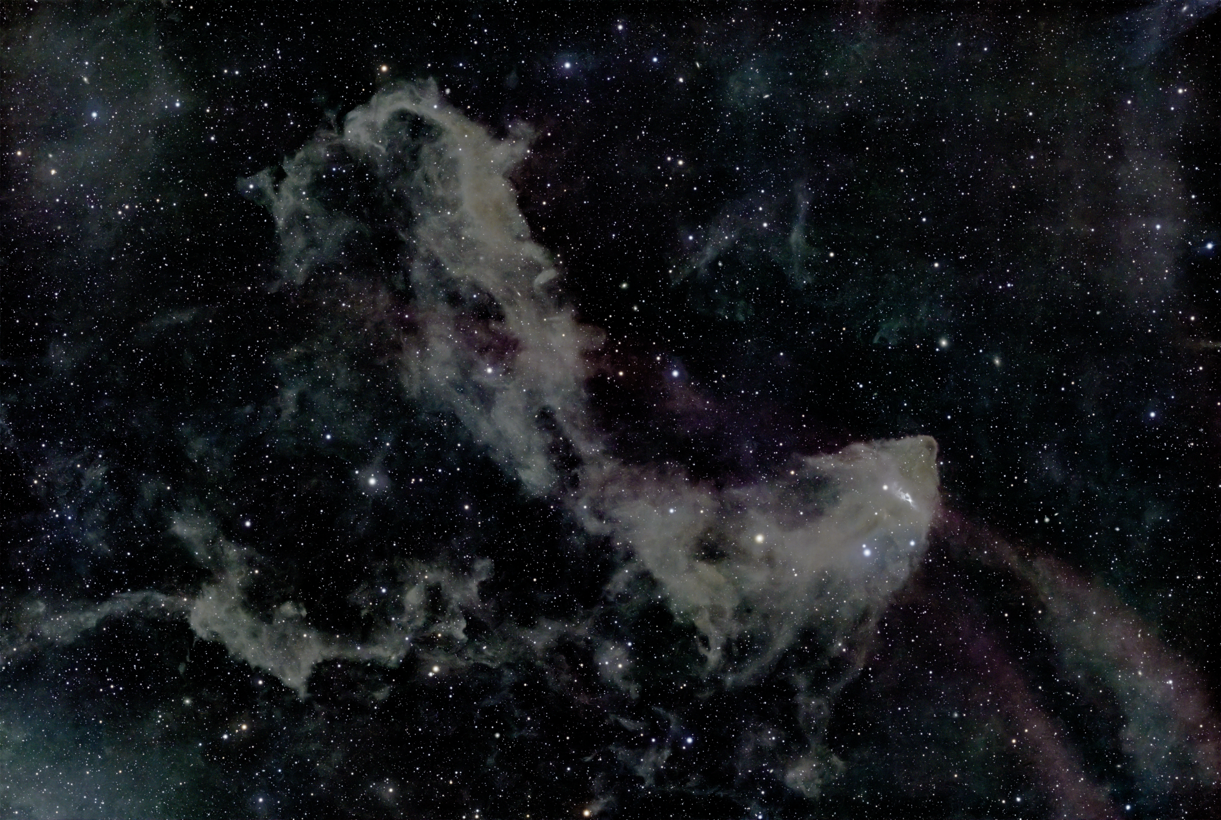 LBN 437 – The Gecko Nebula